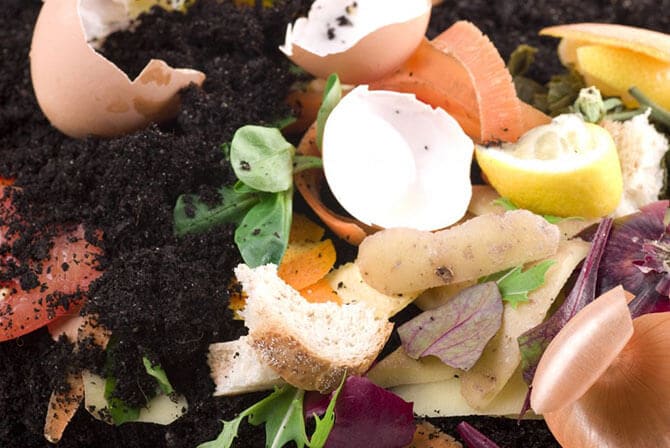 compost pile